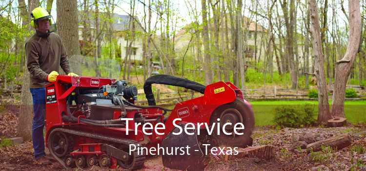 Tree Service Pinehurst - Texas
