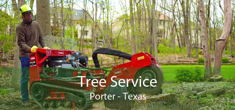 Tree Service Porter - Texas