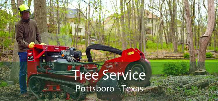Tree Service Pottsboro - Texas