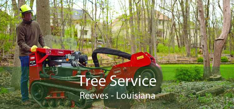 Tree Service Reeves - Louisiana