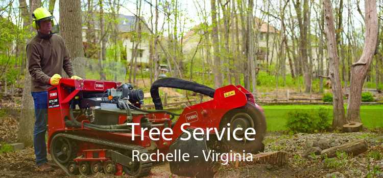 Tree Service Rochelle - Virginia