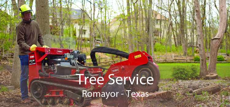 Tree Service Romayor - Texas