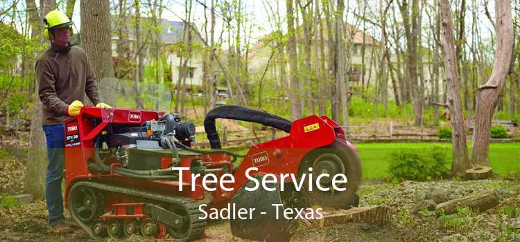 Tree Service Sadler - Texas