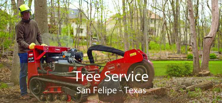 Tree Service San Felipe - Texas