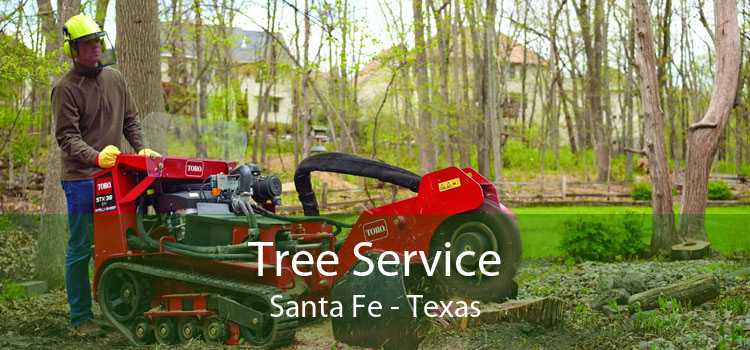 Tree Service Santa Fe - Texas