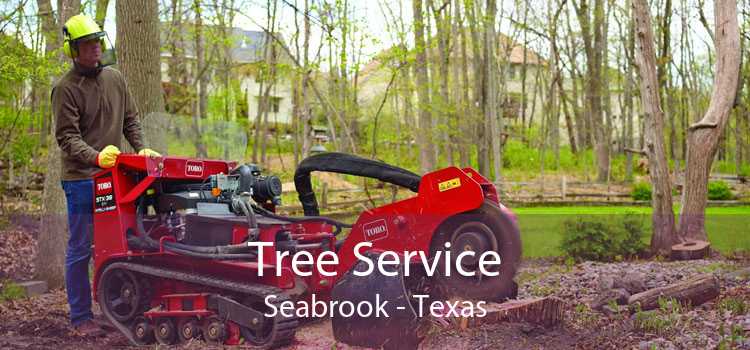 Tree Service Seabrook - Texas