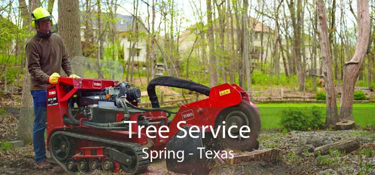 Tree Service Spring - Texas