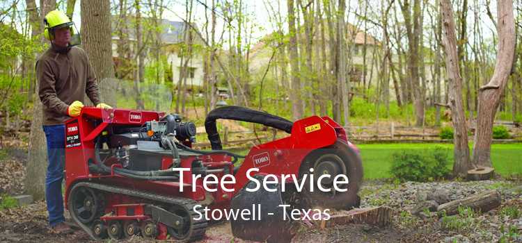 Tree Service Stowell - Texas