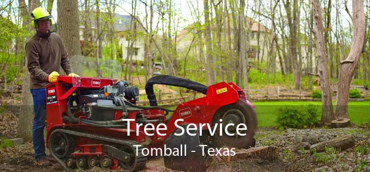 Tree Service Tomball - Texas