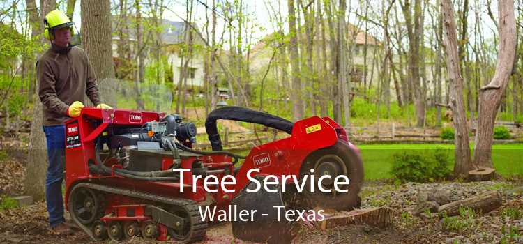 Tree Service Waller - Texas