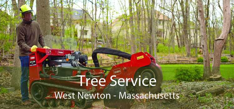 Tree Service West Newton - Massachusetts