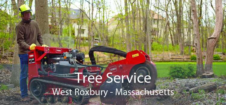 Tree Service West Roxbury - Massachusetts