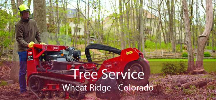 Tree Service Wheat Ridge - Colorado