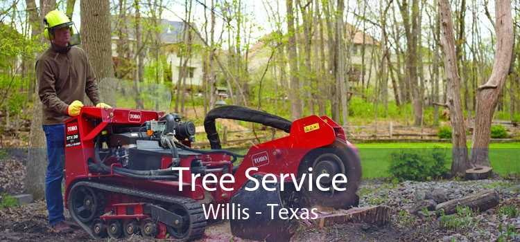 Tree Service Willis - Texas