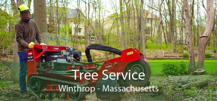 Tree Service Winthrop - Massachusetts