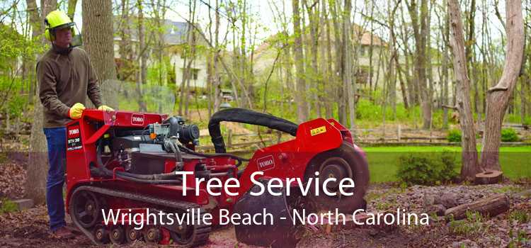 Tree Service Wrightsville Beach - North Carolina
