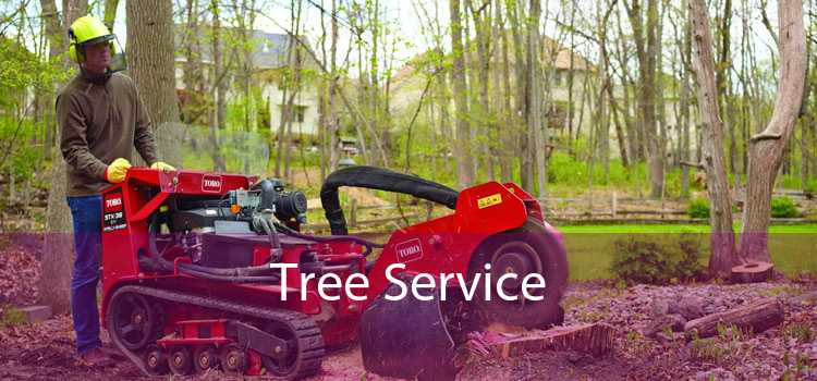 Tree Service 