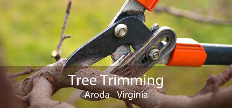 Tree Trimming Aroda - Virginia
