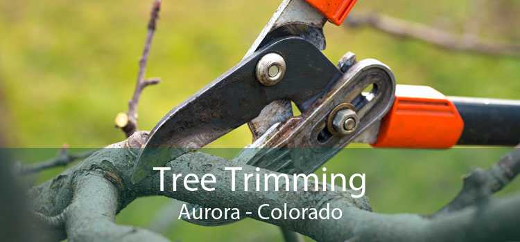 Tree Trimming Aurora - Colorado
