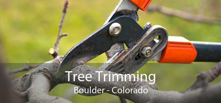 Tree Trimming Boulder - Colorado