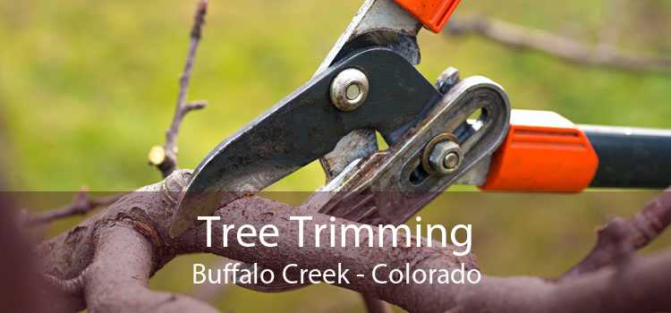 Tree Trimming Buffalo Creek - Colorado