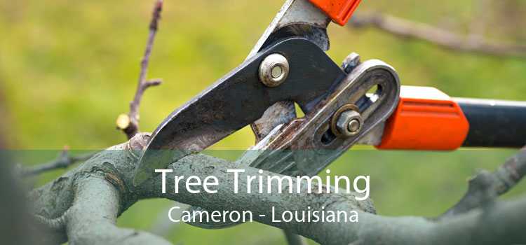 Tree Trimming Cameron - Louisiana