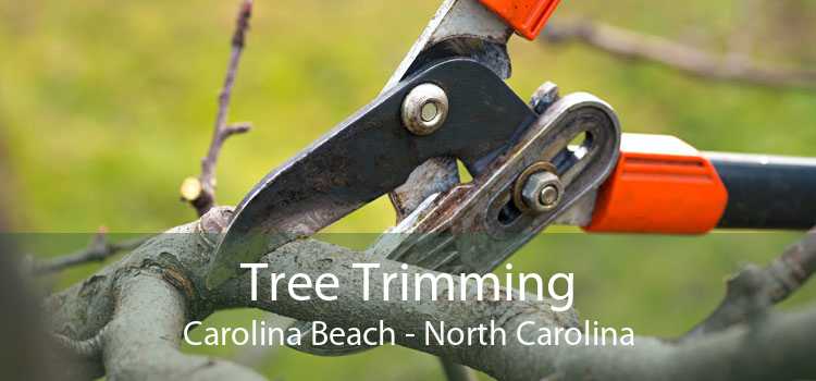 Tree Trimming Carolina Beach - North Carolina