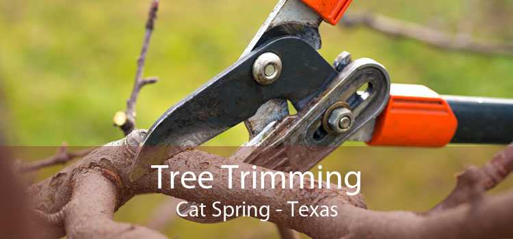 Tree Trimming Cat Spring - Texas