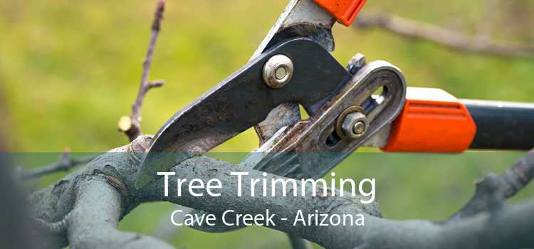 Tree Trimming Cave Creek - Arizona