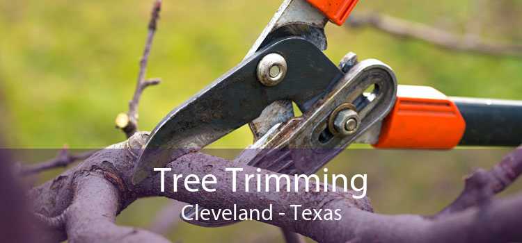 Tree Trimming Cleveland - Texas