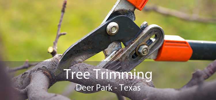 Tree Trimming Deer Park - Texas