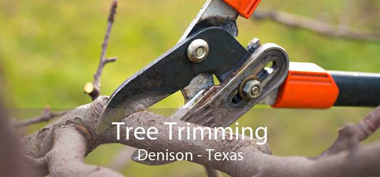 Tree Trimming Denison - Texas