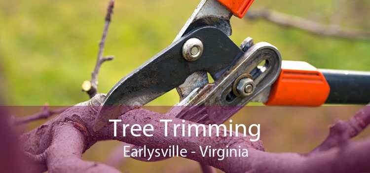 Tree Trimming Earlysville - Virginia