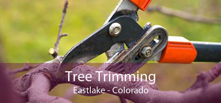 Tree Trimming Eastlake - Colorado