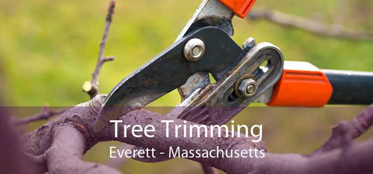 Tree Trimming Everett - Massachusetts