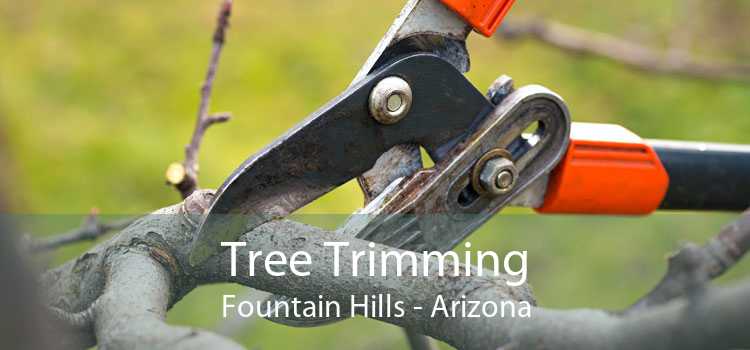 Tree Trimming Fountain Hills - Arizona