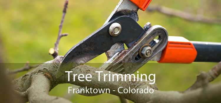 Tree Trimming Franktown - Colorado