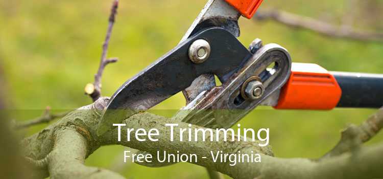 Tree Trimming Free Union - Virginia