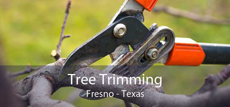 Tree Trimming Fresno - Texas