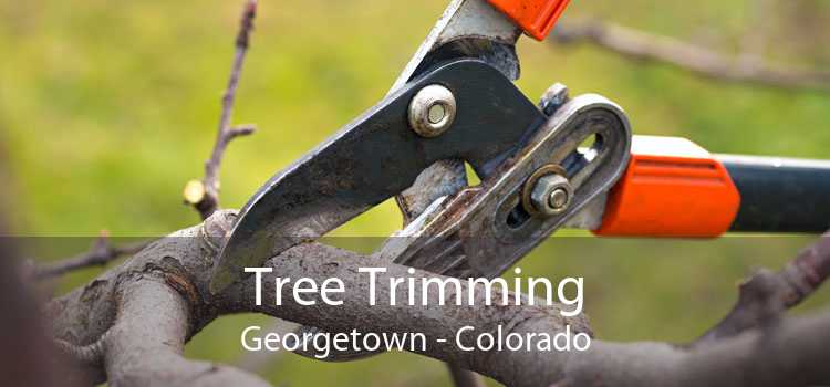 Tree Trimming Georgetown - Colorado