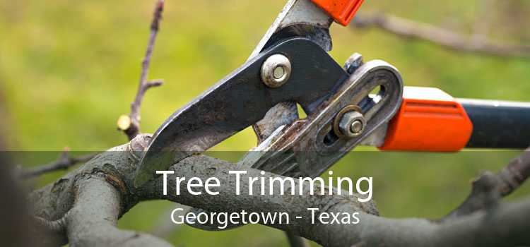 Tree Trimming Georgetown - Texas