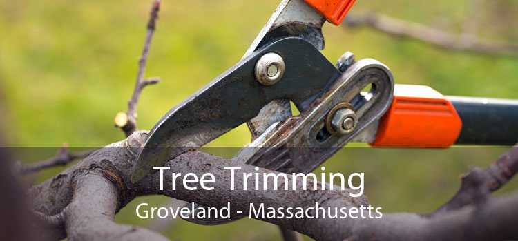 Tree Trimming Groveland - Massachusetts