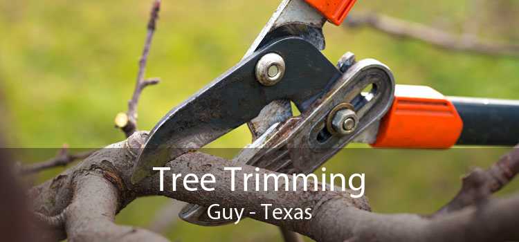 Tree Trimming Guy - Texas