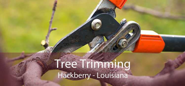 Tree Trimming Hackberry - Louisiana