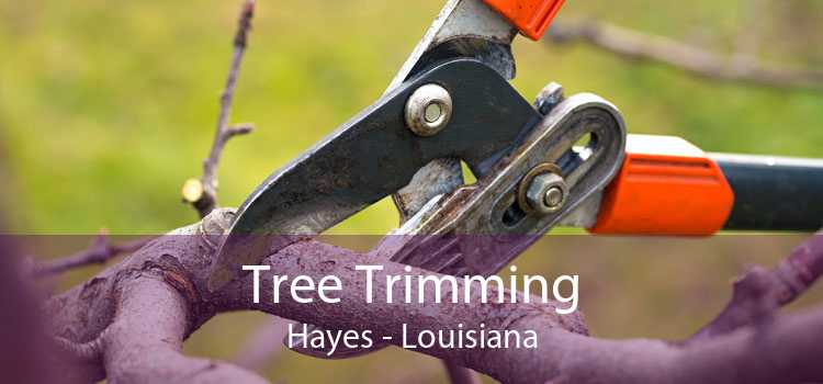 Tree Trimming Hayes - Louisiana