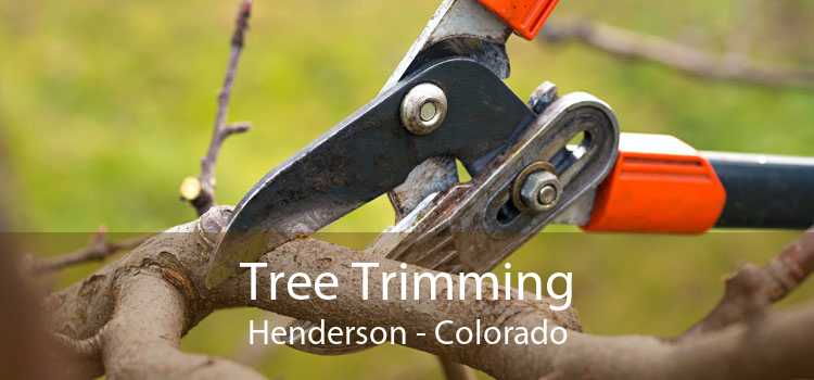 Tree Trimming Henderson - Colorado