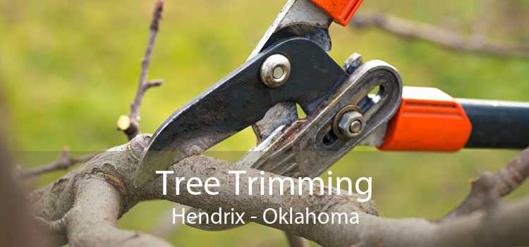 Tree Trimming Hendrix - Oklahoma