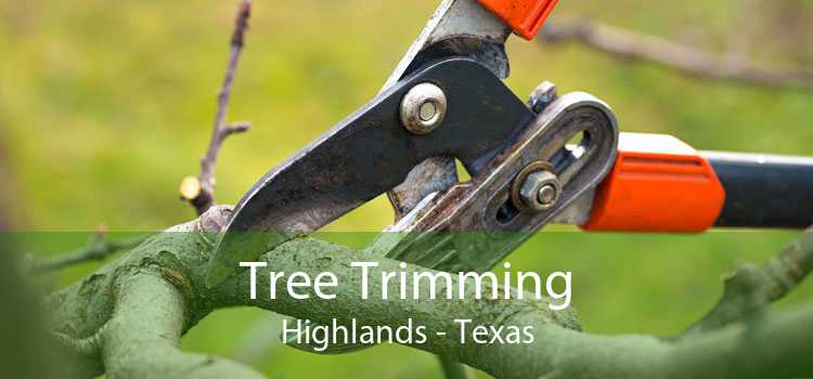 Tree Trimming Highlands - Texas