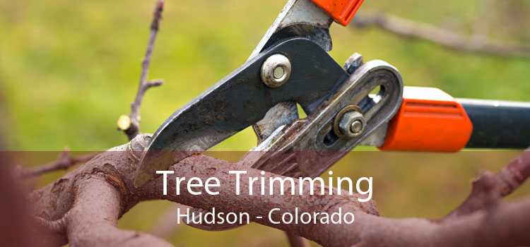 Tree Trimming Hudson - Colorado