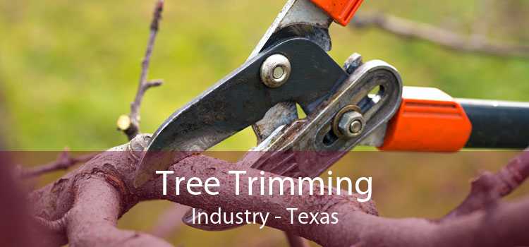 Tree Trimming Industry - Texas
